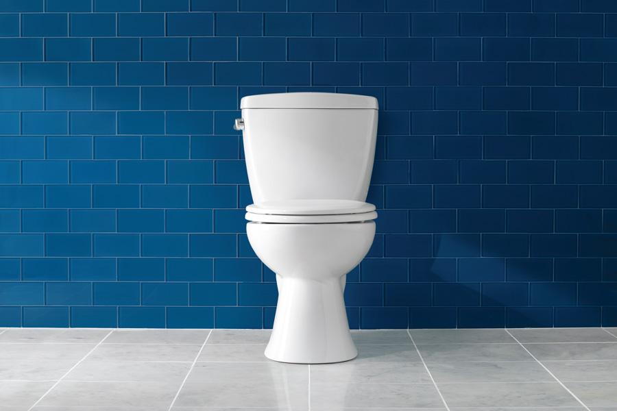 Know More About Your Toilets from PeeSafe Hygiene Experts